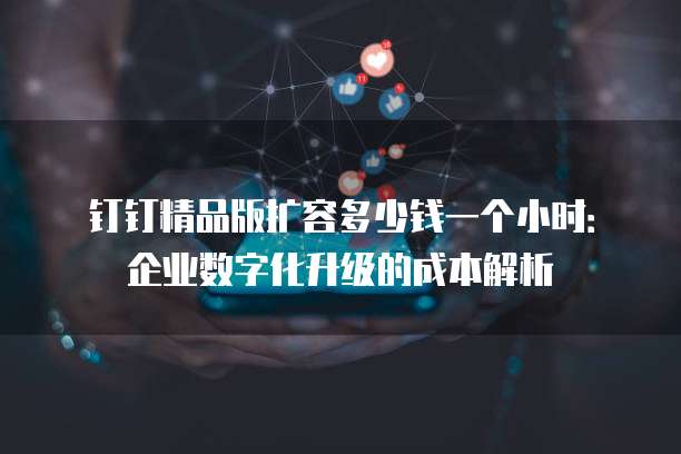 钉钉精品版扩容多少钱一个小时:企业数字化升级的成本解析