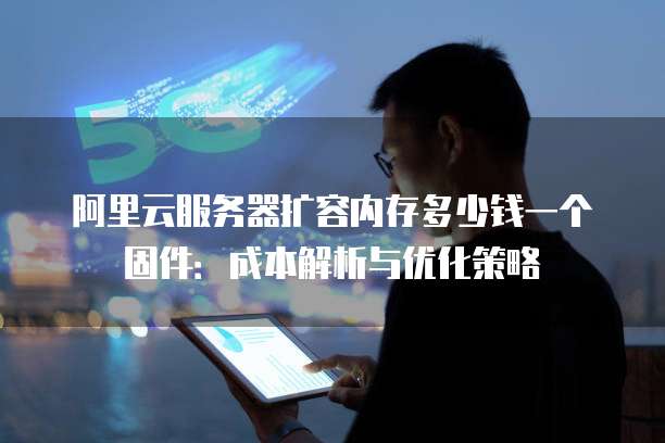 阿里云服务器扩容内存多少钱一个固件:成本解析与优化策略