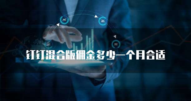 钉钉混合版佣金多少一个月合适