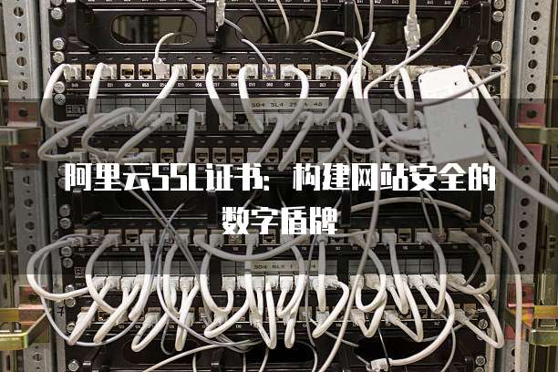 阿里云SSL证书:构建网站安全的数字盾牌