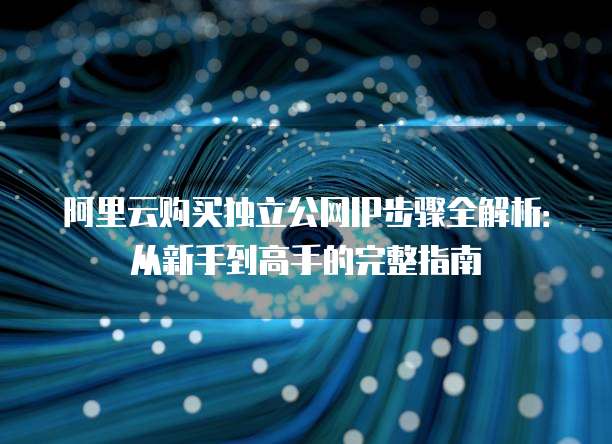 阿里云购买独立公网IP步骤全解析:从新手到高手的完整指南