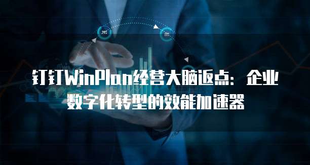 钉钉WinPlan经营大脑返点:企业数字化转型的效能加速器