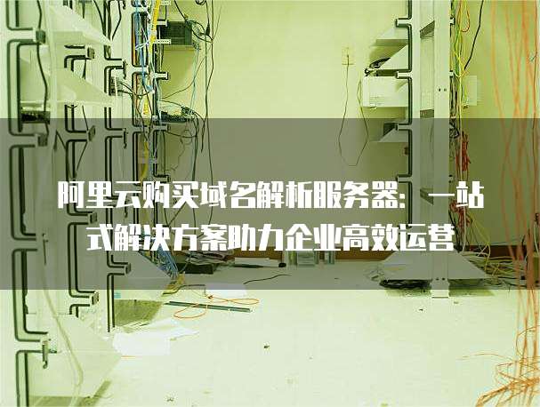 阿里云购买域名解析服务器:一站式解决方案助力企业高效运营