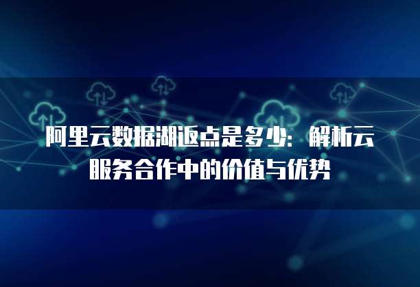 阿里云数据湖返点是多少:解析云服务合作中的价值与优势