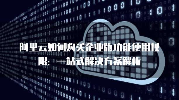 阿里云如何购买企业版功能使用权限:一站式解决方案解析