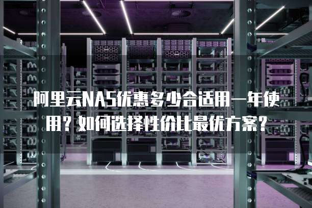 阿里云NAS优惠多少合适用一年使用?如何选择性价比最优方案?