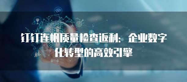 钉钉连帆质量检查返利:企业数字化转型的高效引擎