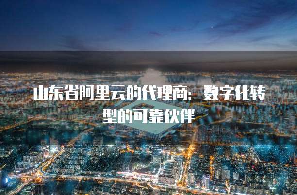山东省阿里云的代理商:数字化转型的可靠伙伴