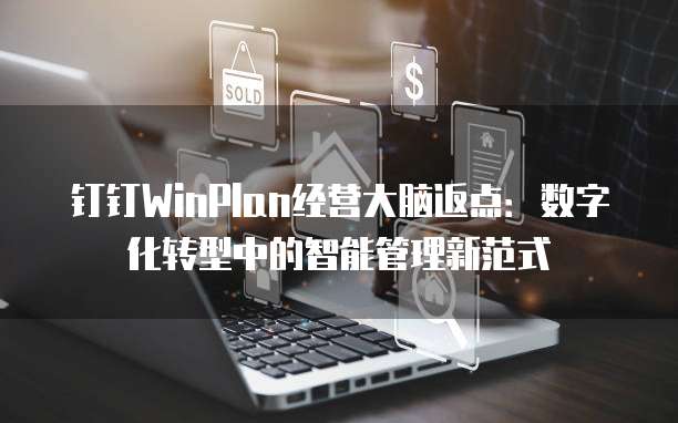 钉钉WinPlan经营大脑返点:数字化转型中的智能管理新范式