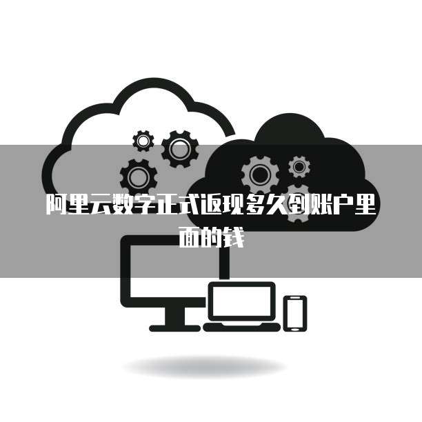 阿里云数字正式返现多久到账户里面的钱