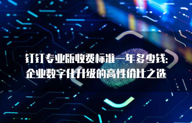钉钉专业版收费标准一年多少钱:企业数字化升级的高性价比之选