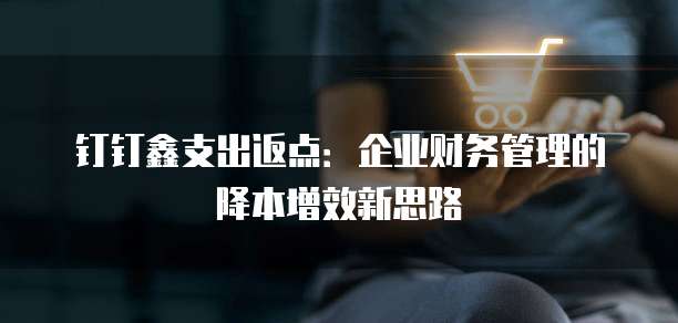 钉钉鑫支出返点:企业财务管理的降本增效新思路
