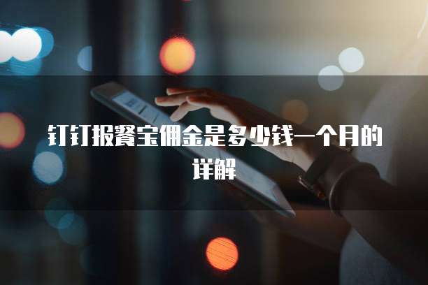 钉钉报餐宝佣金是多少钱一个月的详解