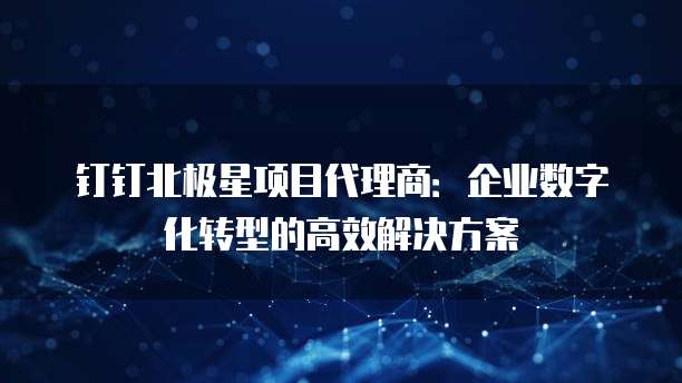 钉钉北极星项目代理商:企业数字化转型的高效解决方案