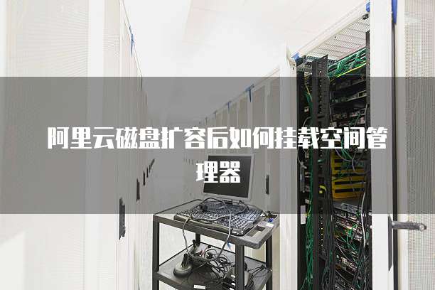 阿里云磁盘扩容后如何挂载空间管理器