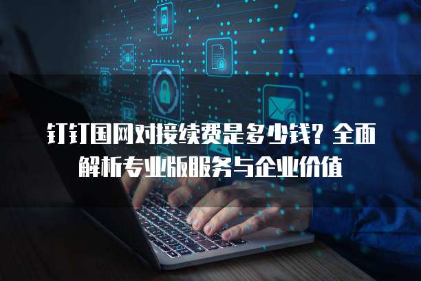 钉钉国网对接续费是多少钱?全面解析专业版服务与企业价值