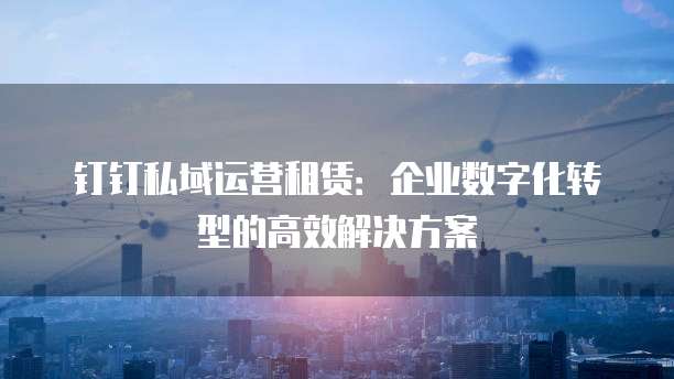 钉钉私域运营租赁：企业数字化转型的高效解决方案