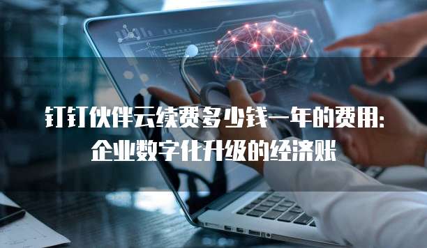 钉钉伙伴云续费多少钱一年的费用:企业数字化升级的经济账