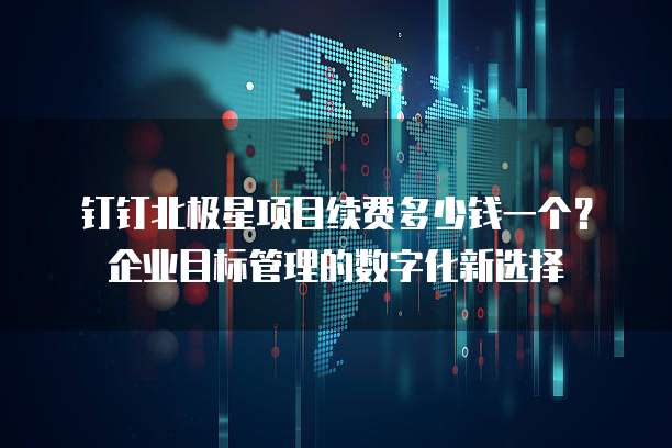 钉钉北极星项目续费多少钱一个?企业目标管理的数字化新选择