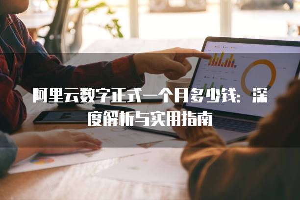 阿里云数字正式一个月多少钱:深度解析与实用指南