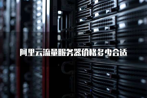 阿里云流量服务器价格多少合适