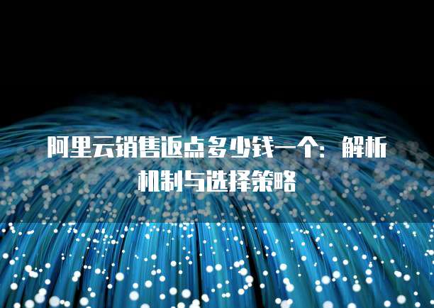 阿里云销售返点多少钱一个:解析机制与选择策略