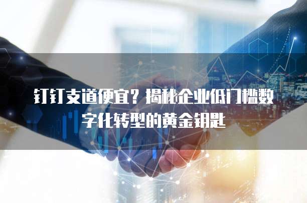 钉钉支道便宜?揭秘企业低门槛数字化转型的黄金钥匙