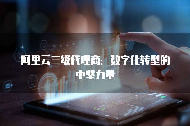 阿里云三级代理商:数字化转型的中坚力量