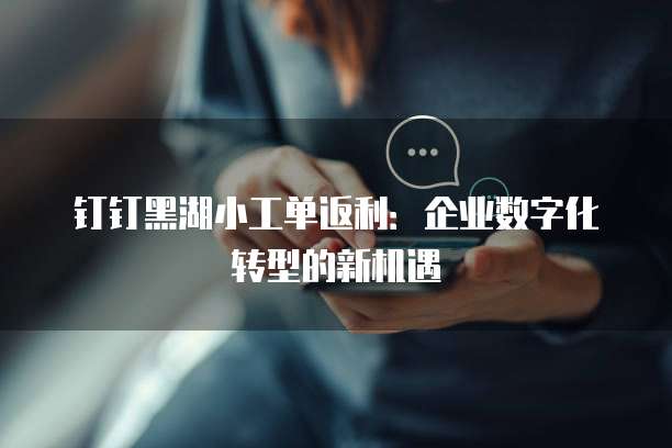 钉钉黑湖小工单返利:企业数字化转型的新机遇