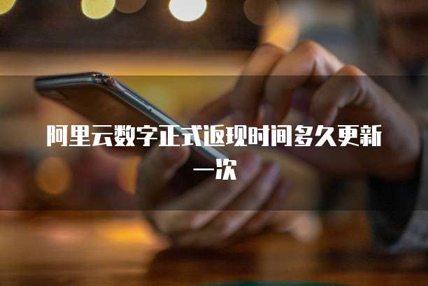 阿里云数字正式返现时间多久更新一次