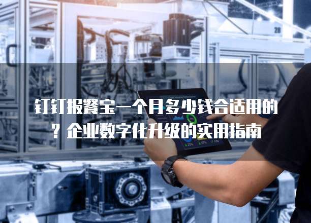 钉钉报餐宝一个月多少钱合适用的?企业数字化升级的实用指南