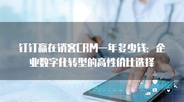 钉钉赢在销客CRM一年多少钱:企业数字化转型的高性价比选择