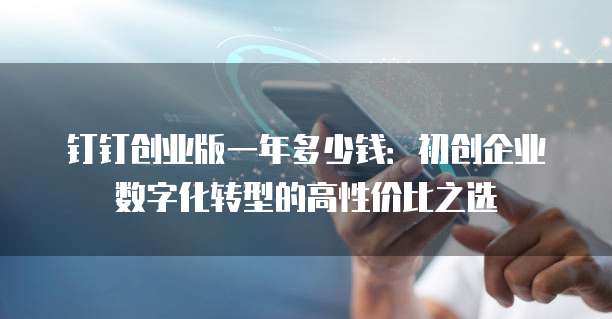 钉钉创业版一年多少钱:初创企业数字化转型的高性价比之选