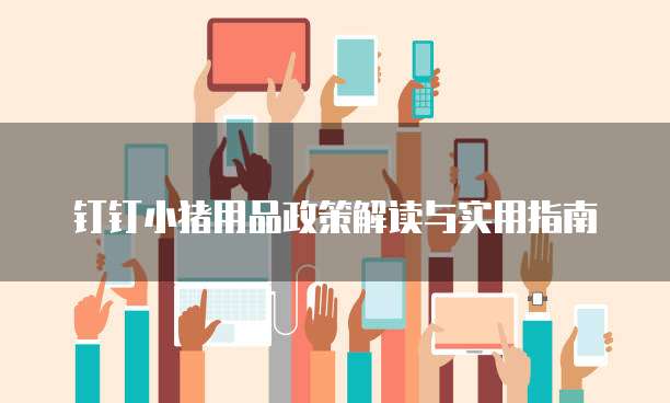 钉钉小猪用品政策解读与实用指南