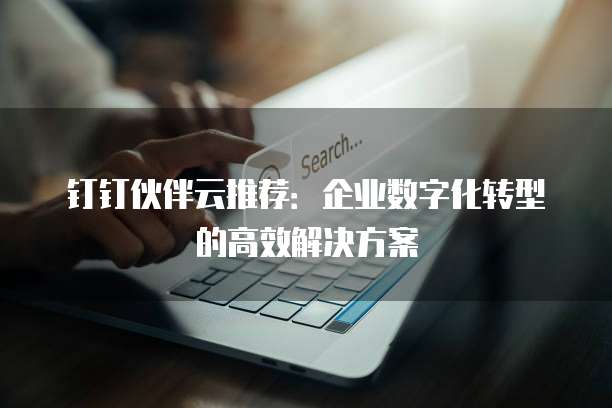 钉钉伙伴云推荐:企业数字化转型的高效解决方案