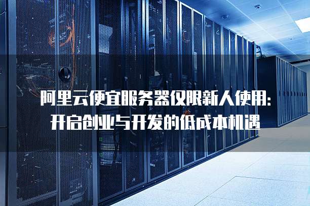 阿里云便宜服务器仅限新人使用：开启创业与开发的低成本机遇