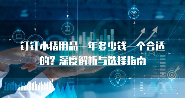 钉钉小猪用品一年多少钱一个合适的?深度解析与选择指南