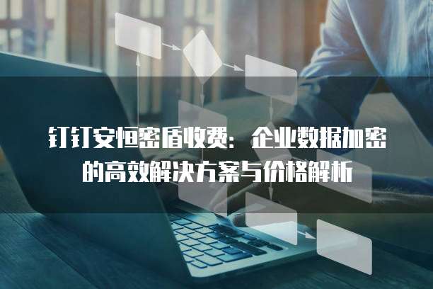 钉钉安恒密盾收费：企业数据加密的高效解决方案与价格解析