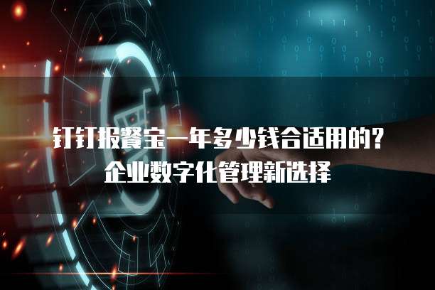 钉钉报餐宝一年多少钱合适用的?企业数字化管理新选择