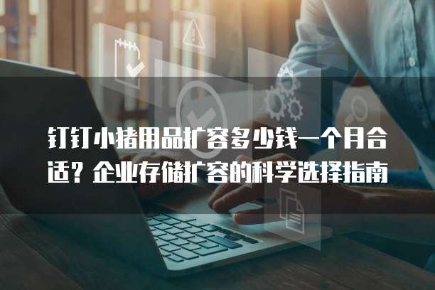 钉钉小猪用品扩容多少钱一个月合适?企业存储扩容的科学选择指南