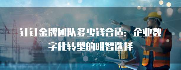 钉钉金牌团队多少钱合适：企业数字化转型的明智选择