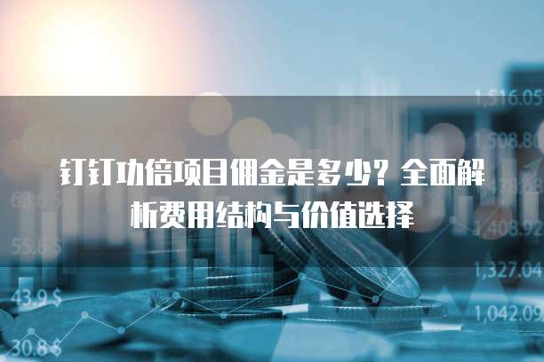 钉钉功倍项目佣金是多少?全面解析费用结构与价值选择