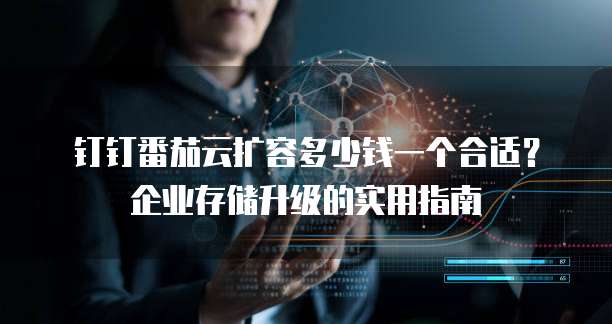 钉钉番茄云扩容多少钱一个合适?企业存储升级的实用指南