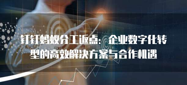 钉钉蚂蚁分工返点：企业数字化转型的高效解决方案与合作机遇