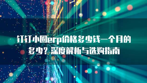 钉钉小圈erp价格多少钱一个月的多少?深度解析与选购指南