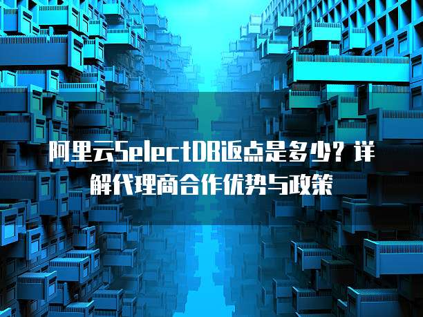阿里云SelectDB返点是多少？详解代理商合作优势与政策