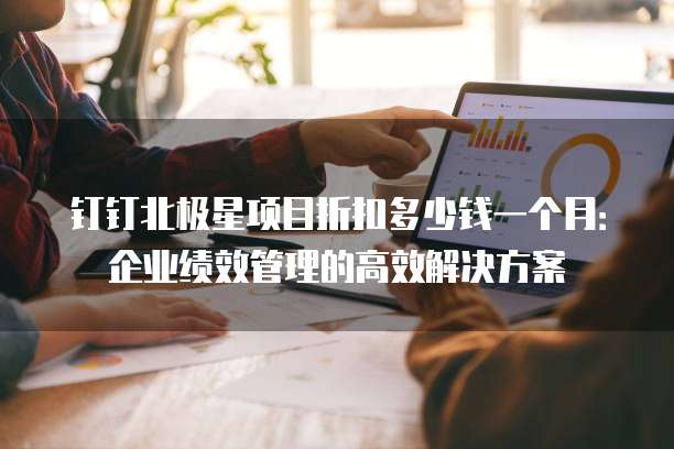 钉钉北极星项目折扣多少钱一个月:企业绩效管理的高效解决方案