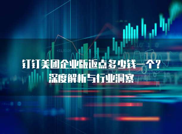 钉钉美团企业版返点多少钱一个?深度解析与行业洞察