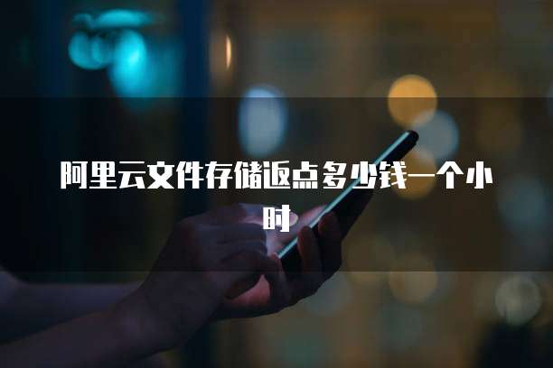 阿里云文件存储返点多少钱一个小时