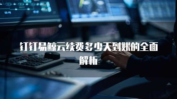 钉钉易鲸云续费多少天到账的全面解析
